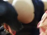 Amateur beastiality lover having dog sex